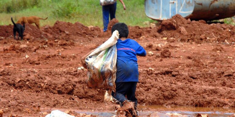 Justiça condena Cargill por contribuir com rede de trabalho infantil