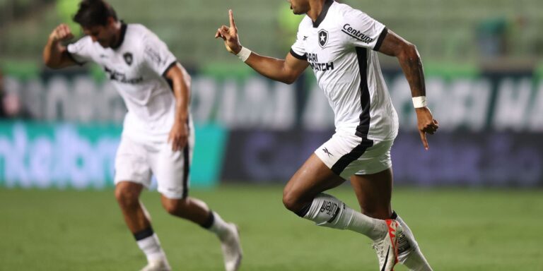 Botafogo conta com Júnior Santos artilheiro para superar América-MG