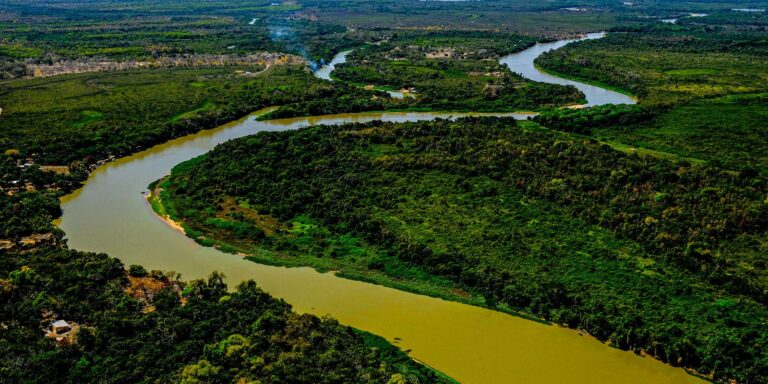Lei do Pantanal é sancionada para garantir conservação do bioma